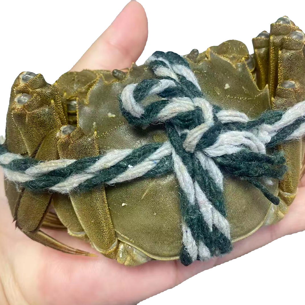 2.8两母江苏大闸蟹5只