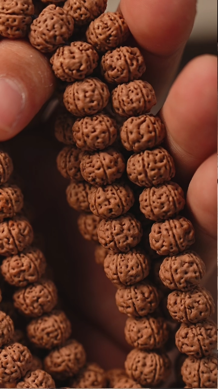 手串金刚菩提喷*龙S25老树王