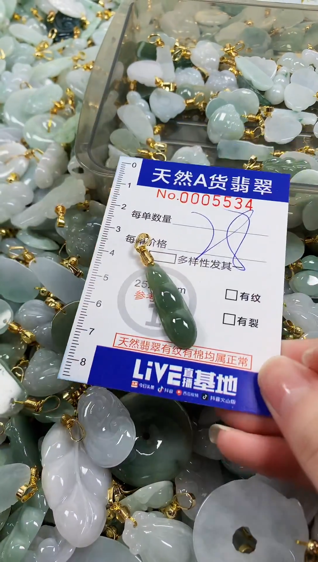 颈饰未镶嵌翡翠天然a货翡翠