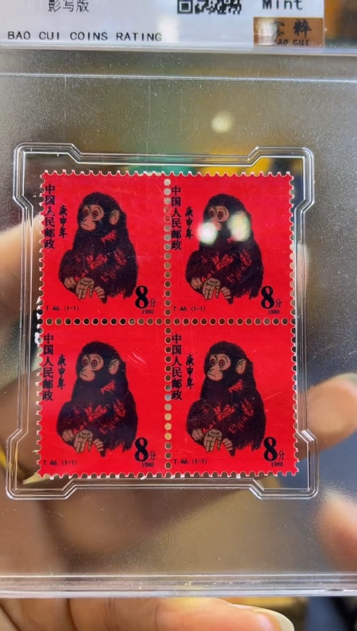 林氏直播精选推荐