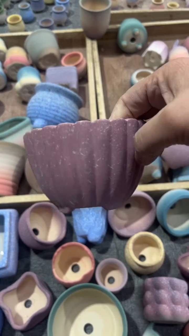 【闪购商品】红陶111