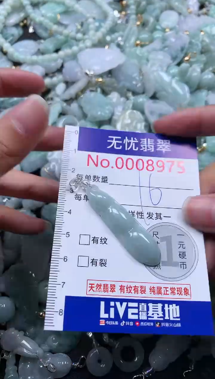 颈饰未镶嵌翡翠8975