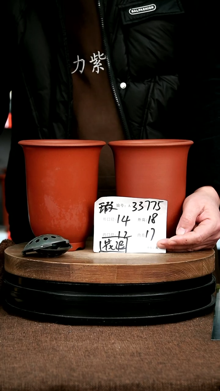 紫砂花盆花卉园艺微瑕33775