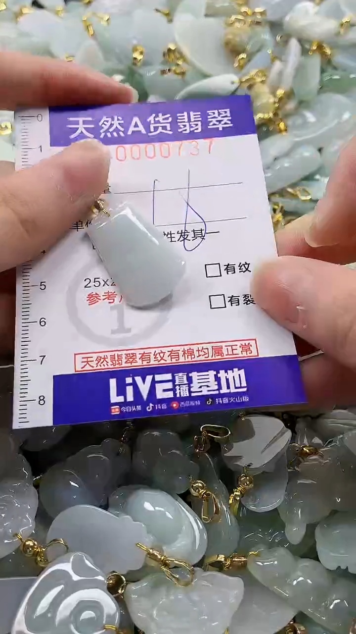 颈饰未镶嵌翡翠纯天然a货翡翠