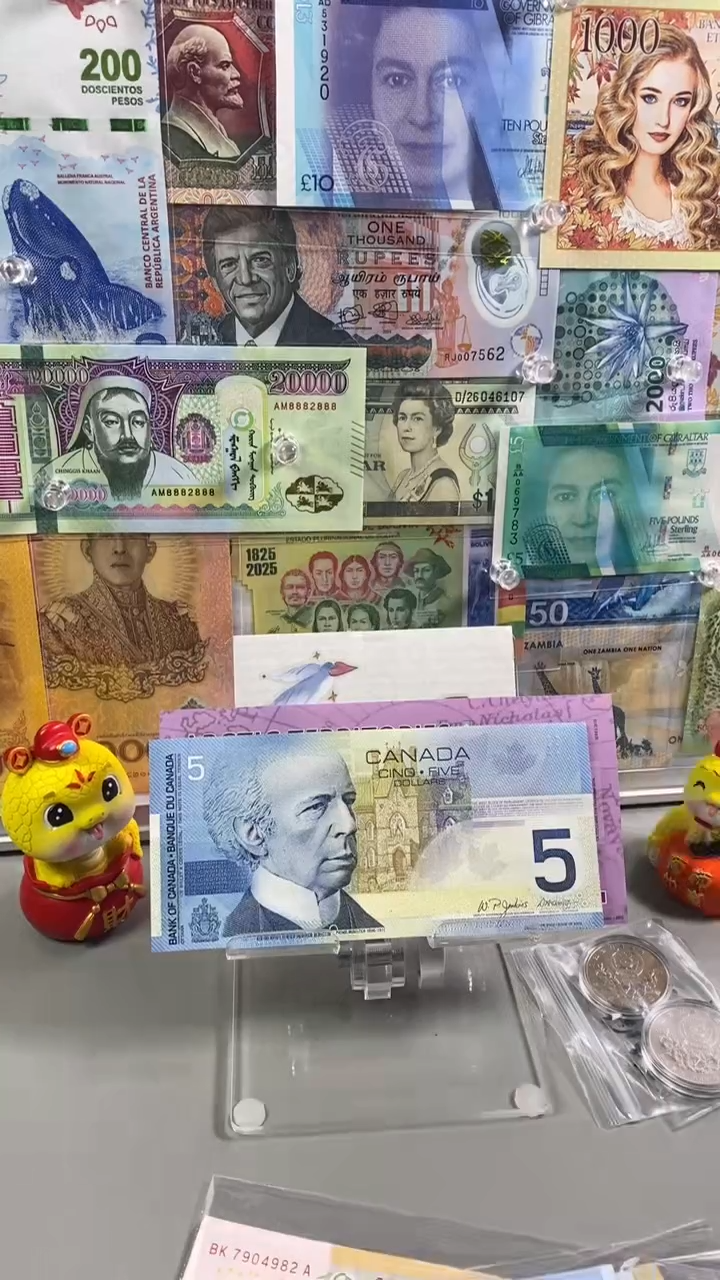 纸币加拿大5 旅版