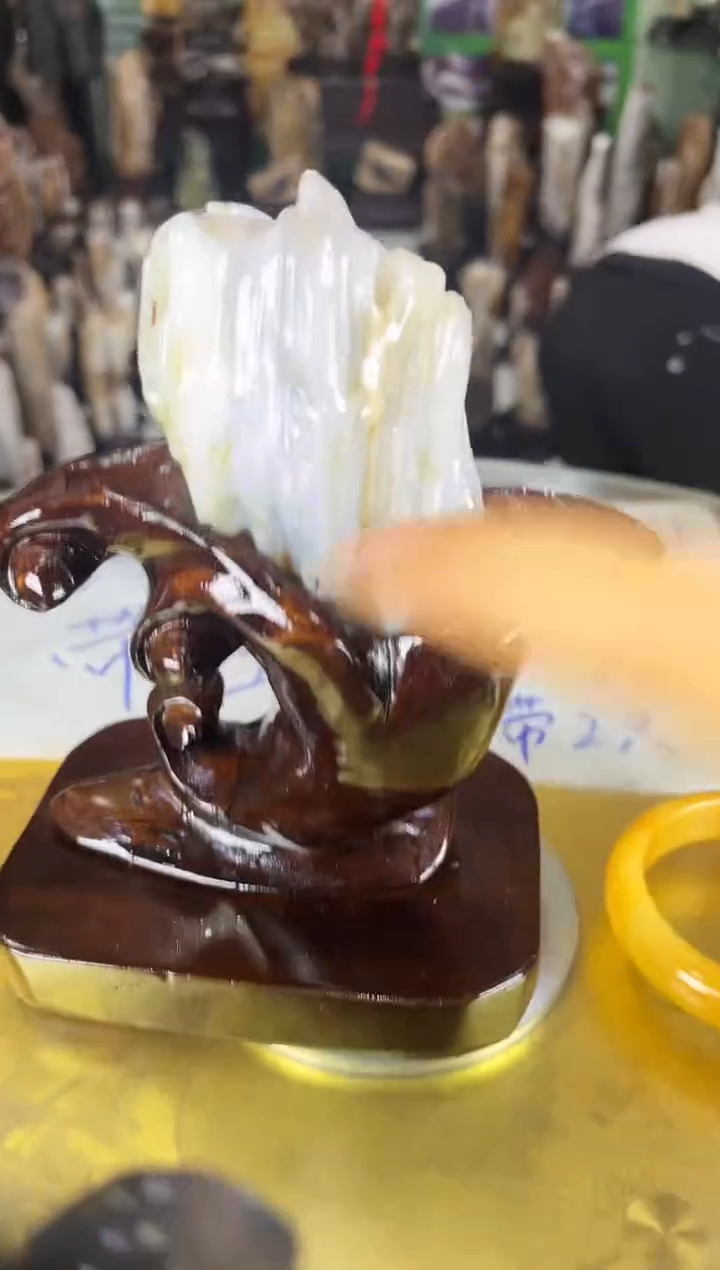 未镶嵌珠宝奇石硅化玉缅甸天然树化玉精品居家摆件