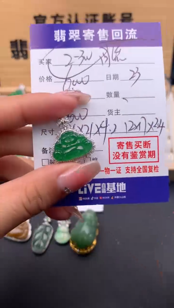 【闪购商品】翡翠颈饰18K金镶嵌10124108