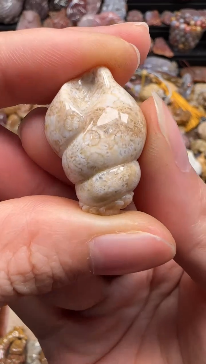 【闪购商品】硅化珊瑚（珊瑚玉）颈饰未镶嵌449