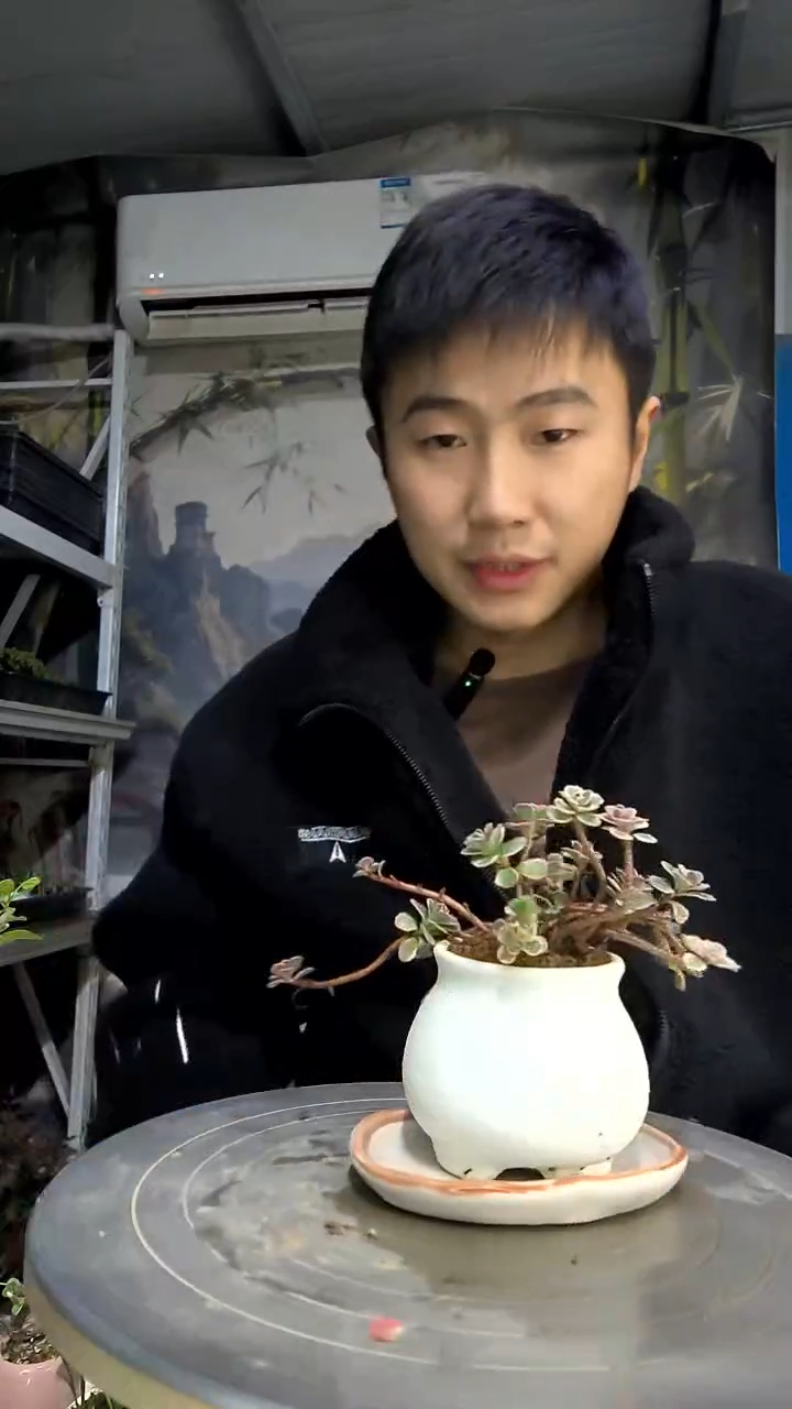 淡***…中青园艺一物一拍花259