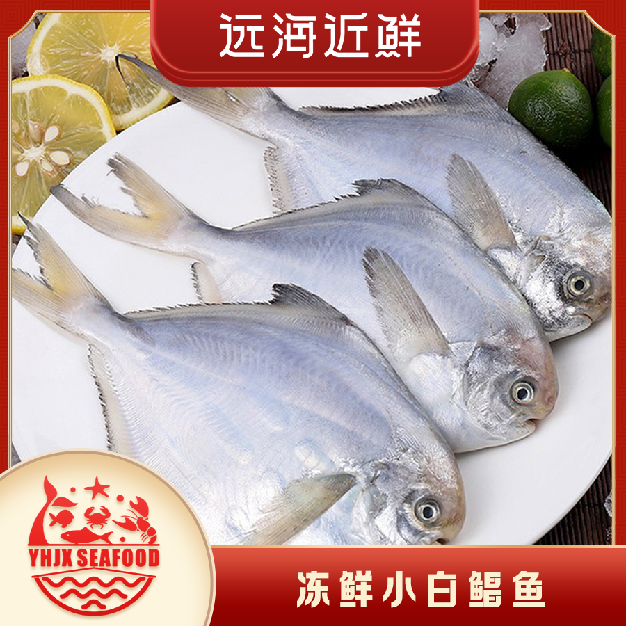 冰鲜小白鲳1斤约4-5条