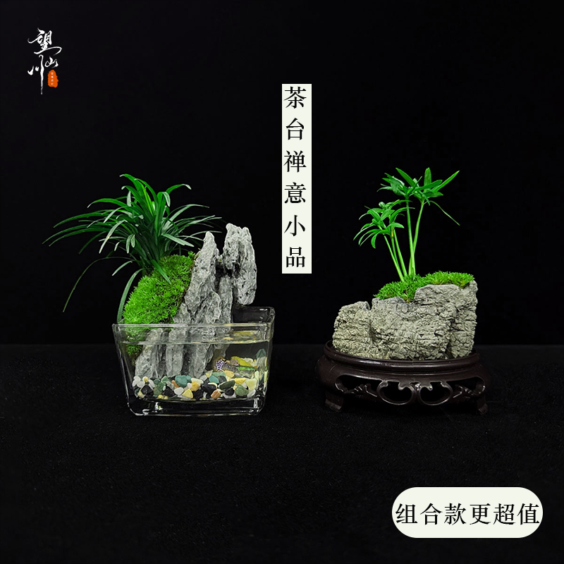 禅意桌面组合微景绿植苔藓茶室茶台工位绿植