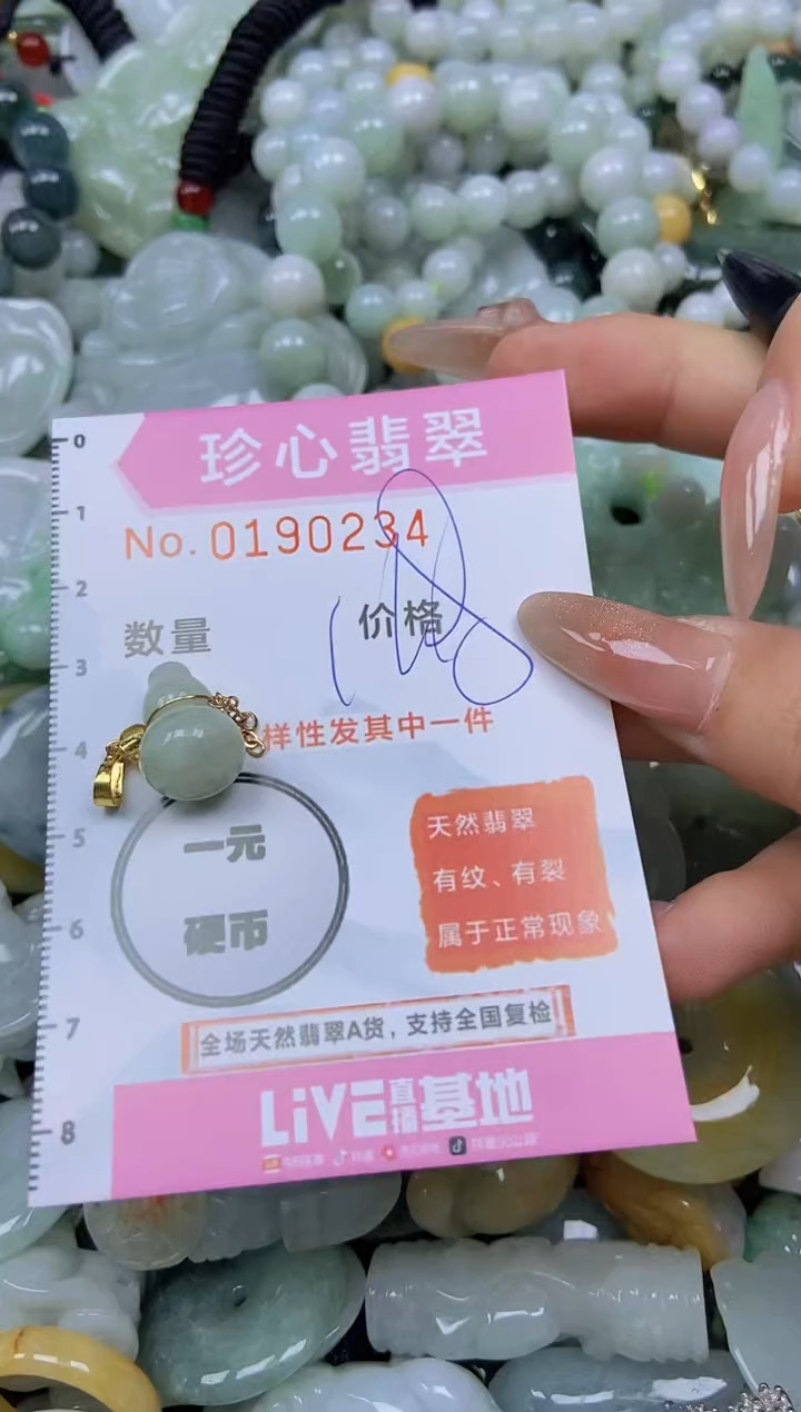 翡翠未镶嵌颈饰闪购链接0190234