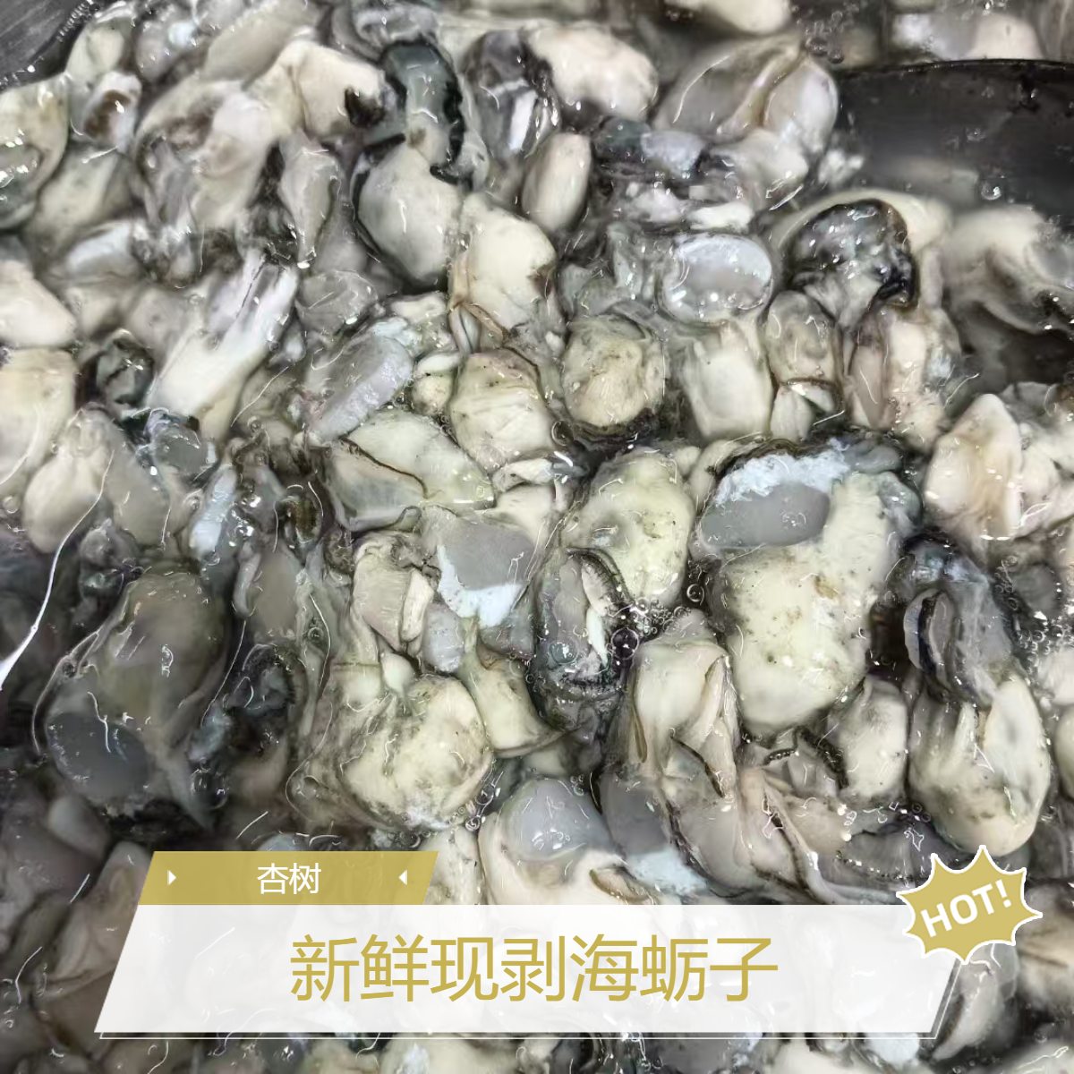 杏树野生海蛎子，现剥新鲜发货