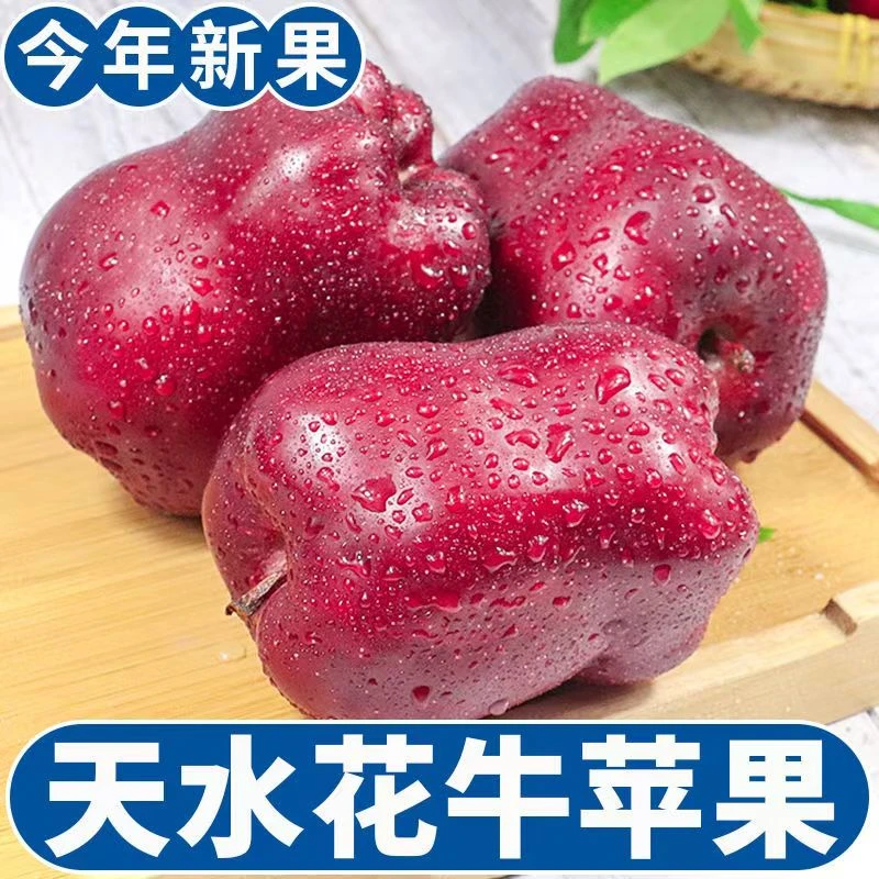甘肃天水花牛苹果当季新鲜水果脆粉两吃整箱包邮