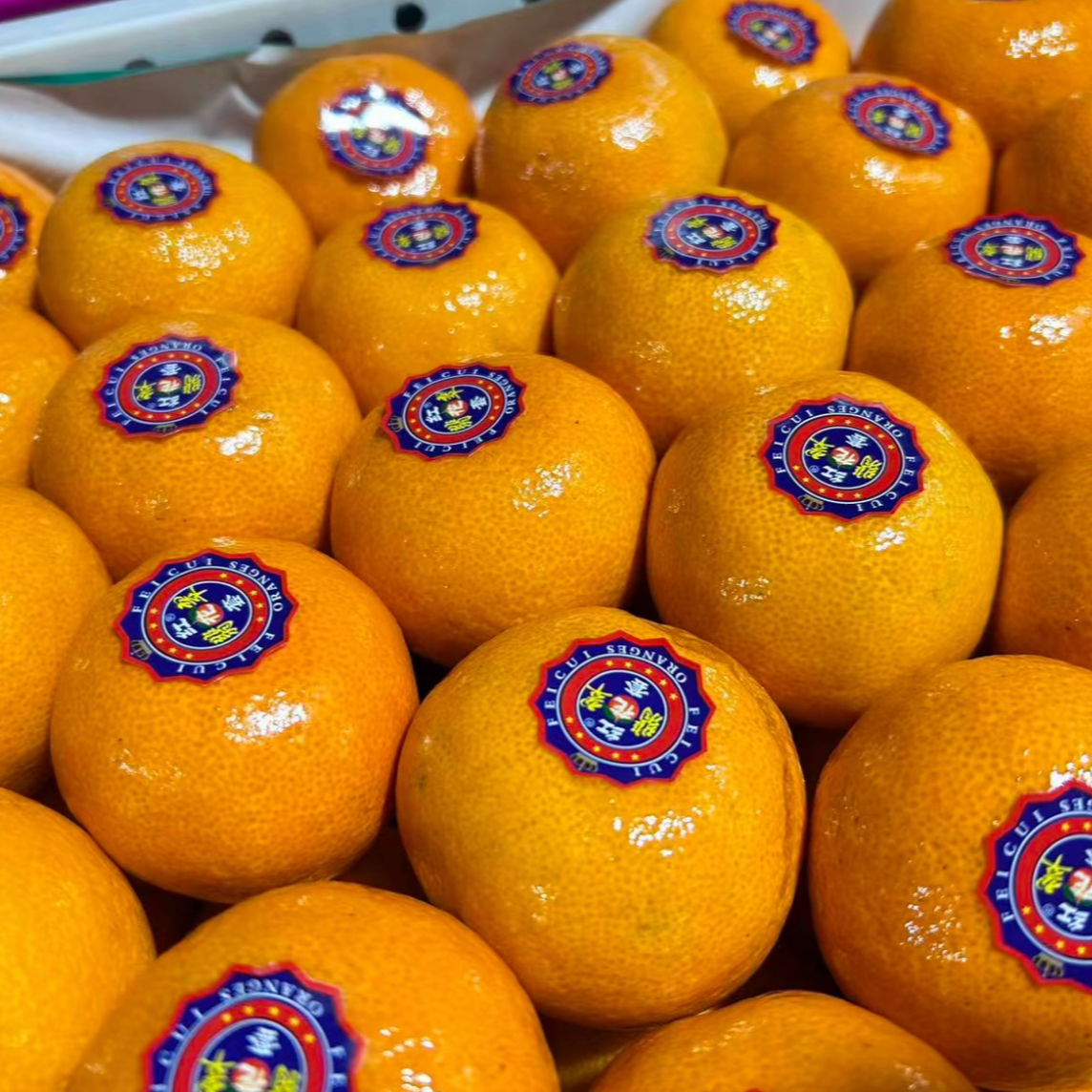 【5斤】东江湖蜜橘散装5斤左右