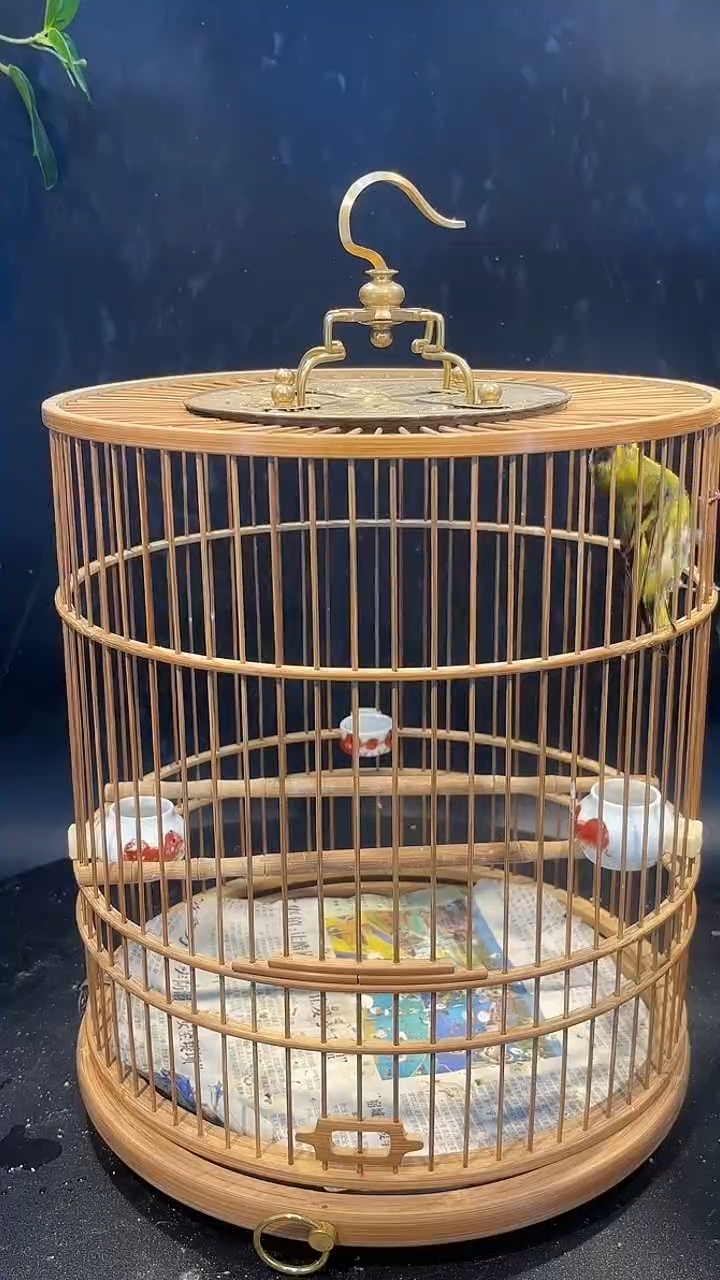 黄雀养笼拍品100