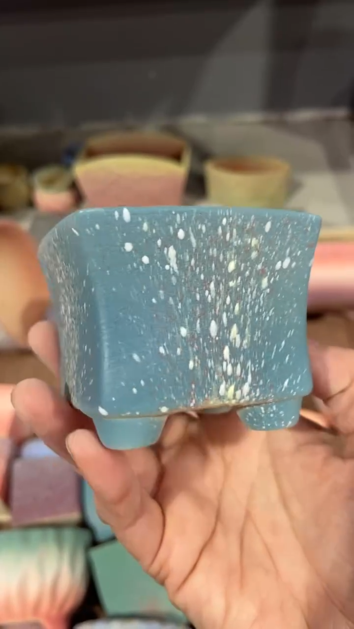 【闪购商品】红陶7*6