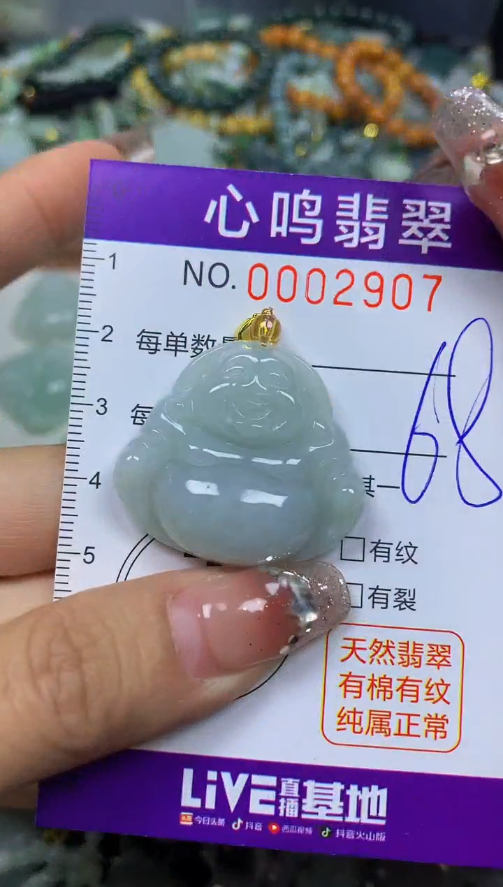 【闪购商品】翡翠颈饰未镶嵌闪购002907