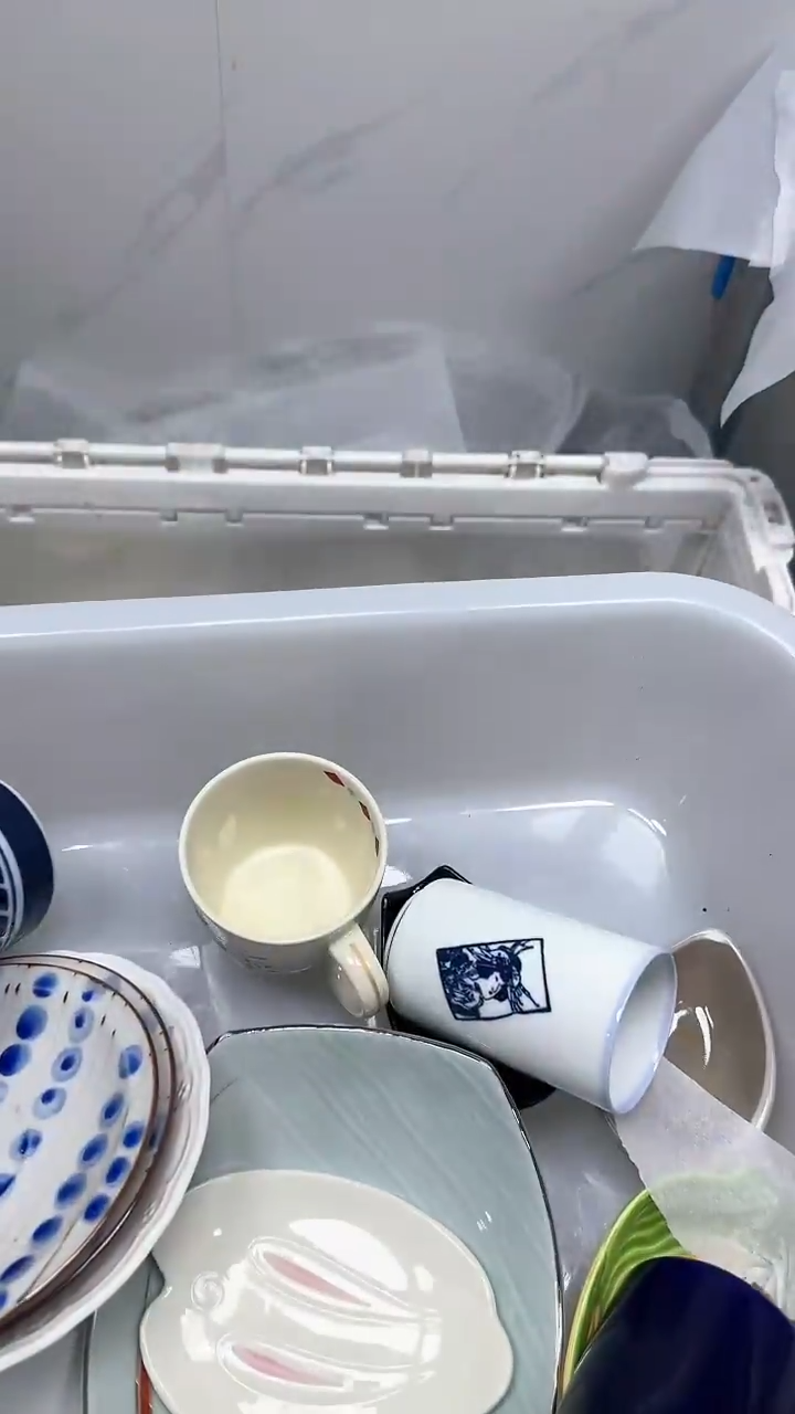 【闪购商品】582回流瓷器默认微瑕，18.8包邮