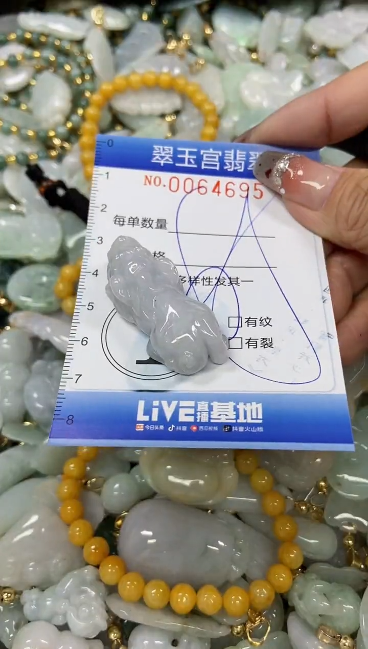 【闪购商品】翡翠颈饰未镶嵌闪购商品0064695