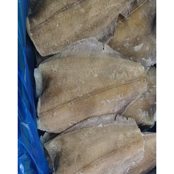 【2号精选鲽鱼身】直播称重 现称现发