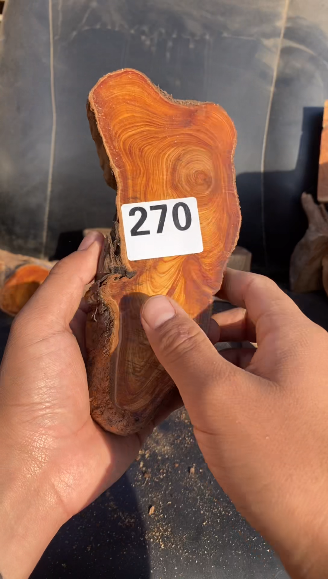 柏木（崖柏）太行陈化崖柏切片！随机（1单1片）270