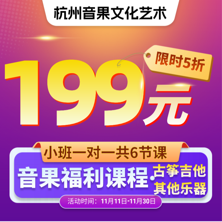 其他乐器一对一课程