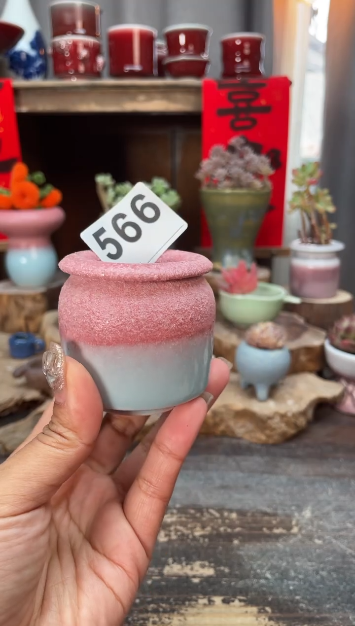 【闪购商品】摆件566知木小芳花盆