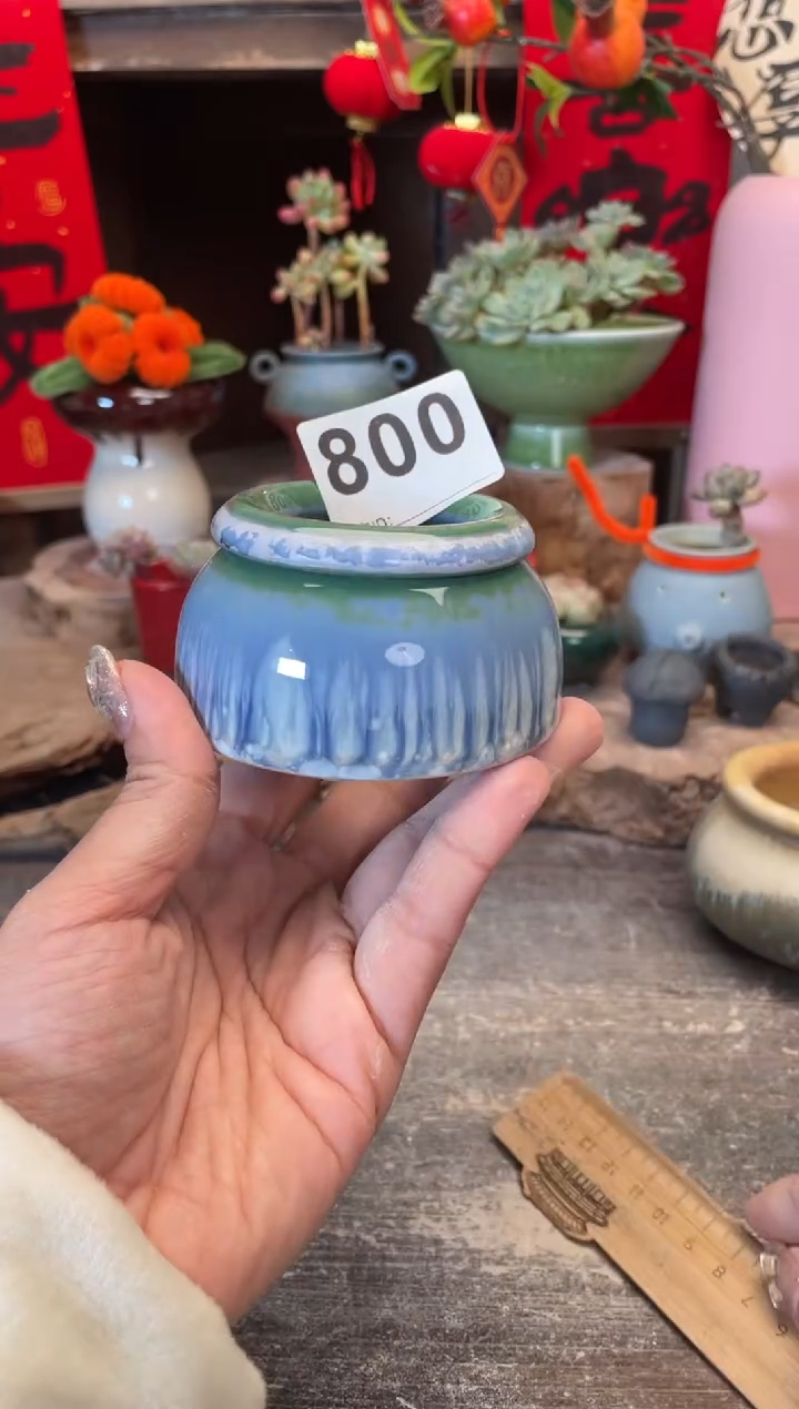 【闪购商品】摆件880知木小芳花盆