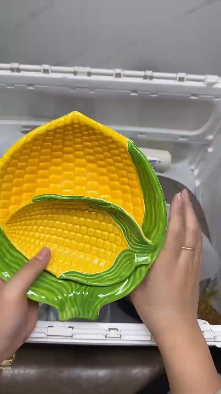 【闪购商品】228回流瓷器默认微瑕，18.8包邮