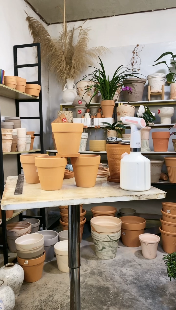 【闪购商品】红陶13*13红陶国际 3盆3托