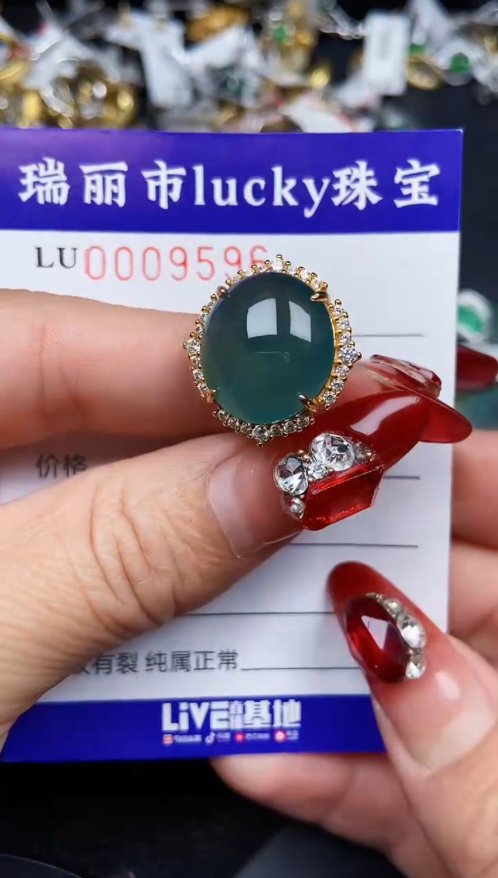 【闪购商品】翡翠颈饰银S925镶嵌9596