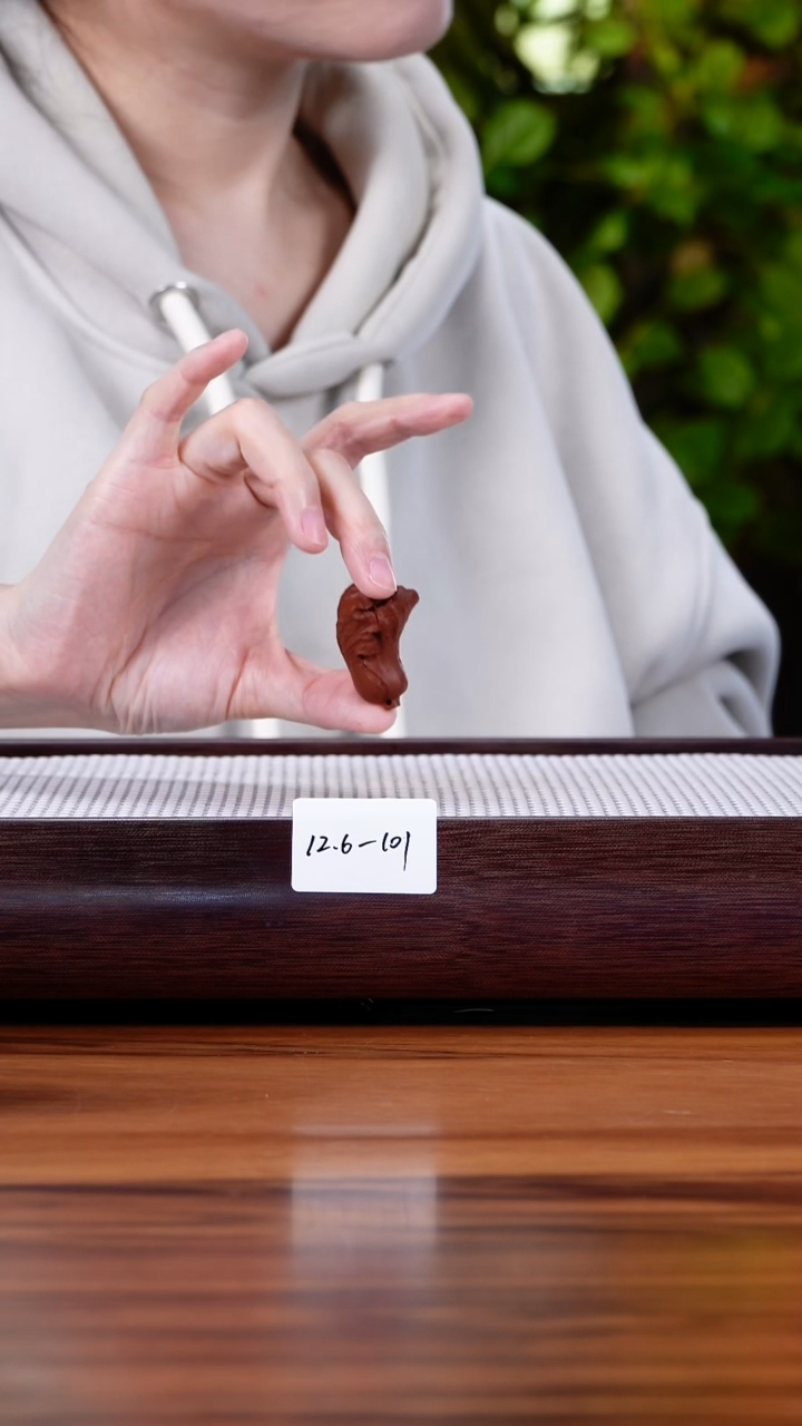 茶壶紫砂朵*12.6-101  百财