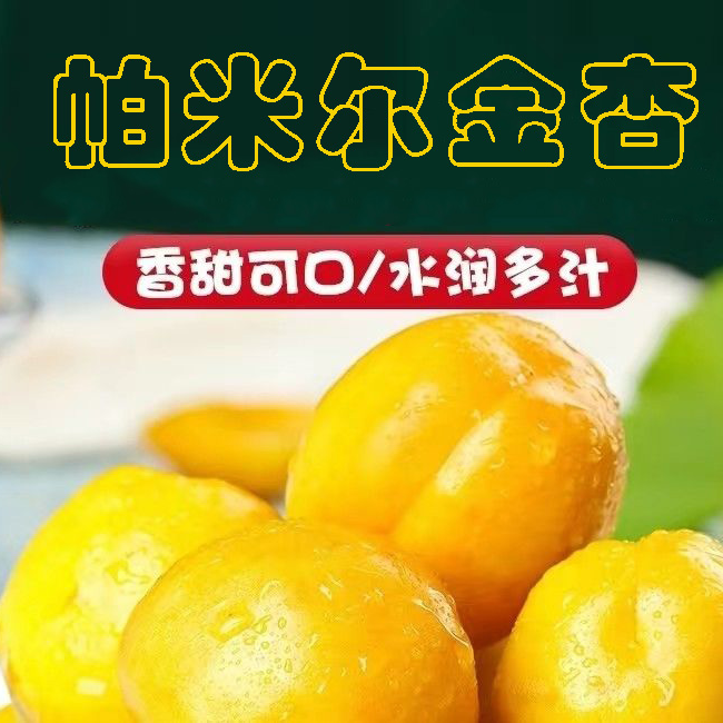 【新疆金杏】新疆正宗高原金杏帕米尔金杏香甜应季杏味足包邮直发