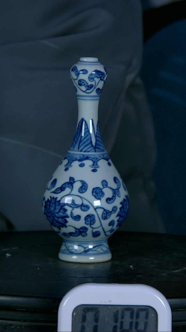 【闪购商品】瓶青花精绘花卉瓶