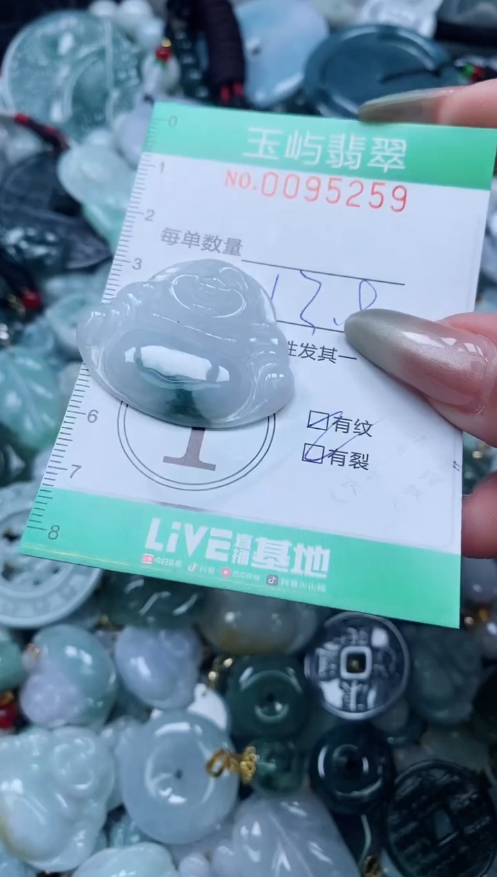 【闪购商品】翡翠颈饰未镶嵌闪购0095259