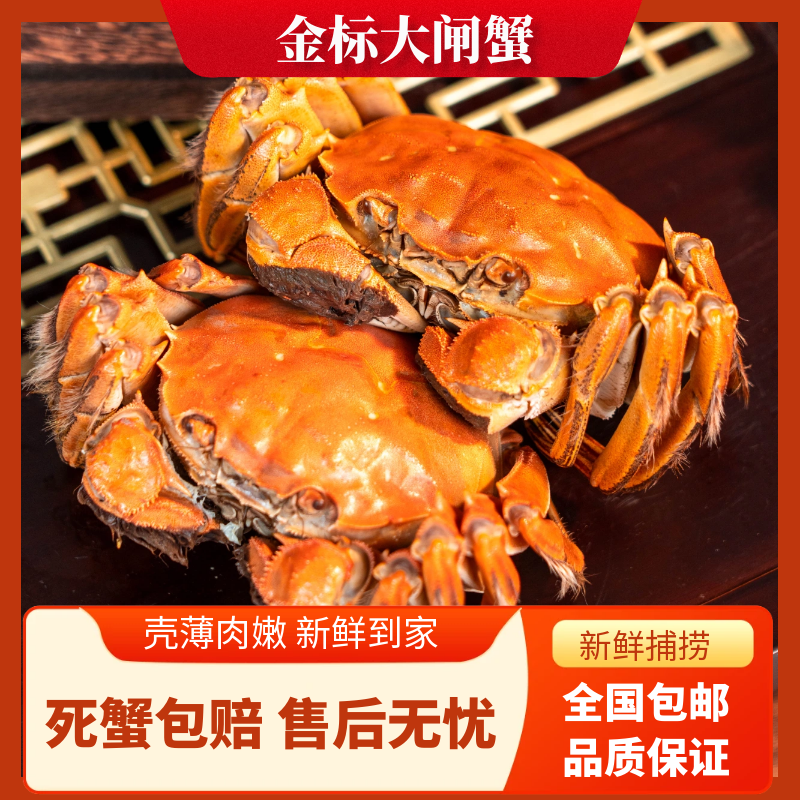 【活蟹】江苏精品大闸蟹公蟹6.0-5.7两母蟹6.0-5.7两加2只到手10只