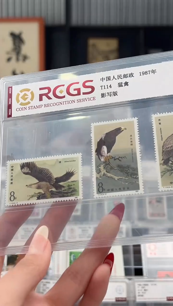 【闪购商品】T114 猛禽套票 封装评级