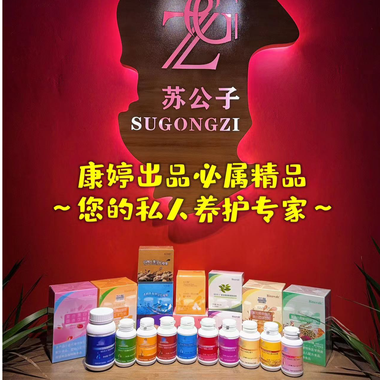 瑞倪维儿内调组合