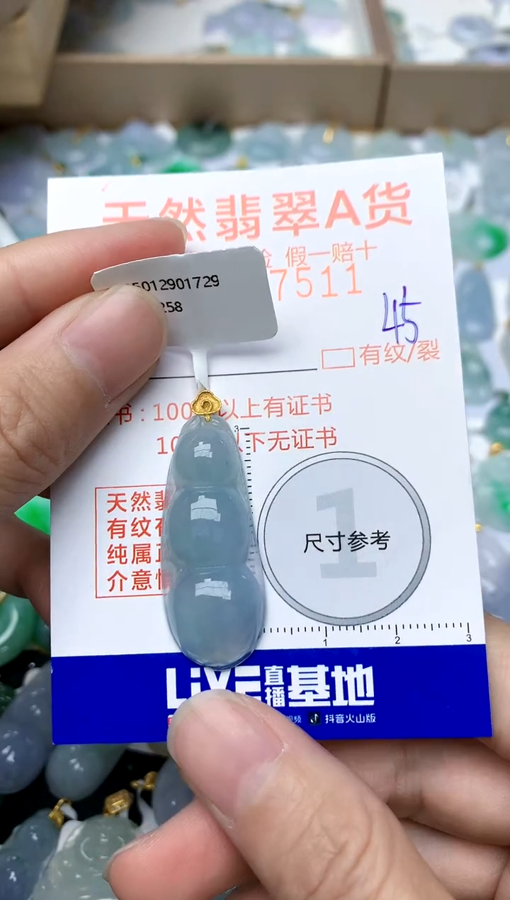 【闪购商品】翡翠颈饰18K金镶嵌45天然A货翡翠