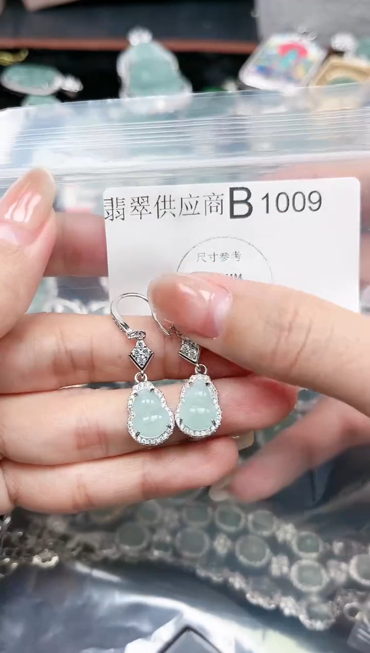 【闪购商品】翡翠颈饰未镶嵌赠皮绳1009