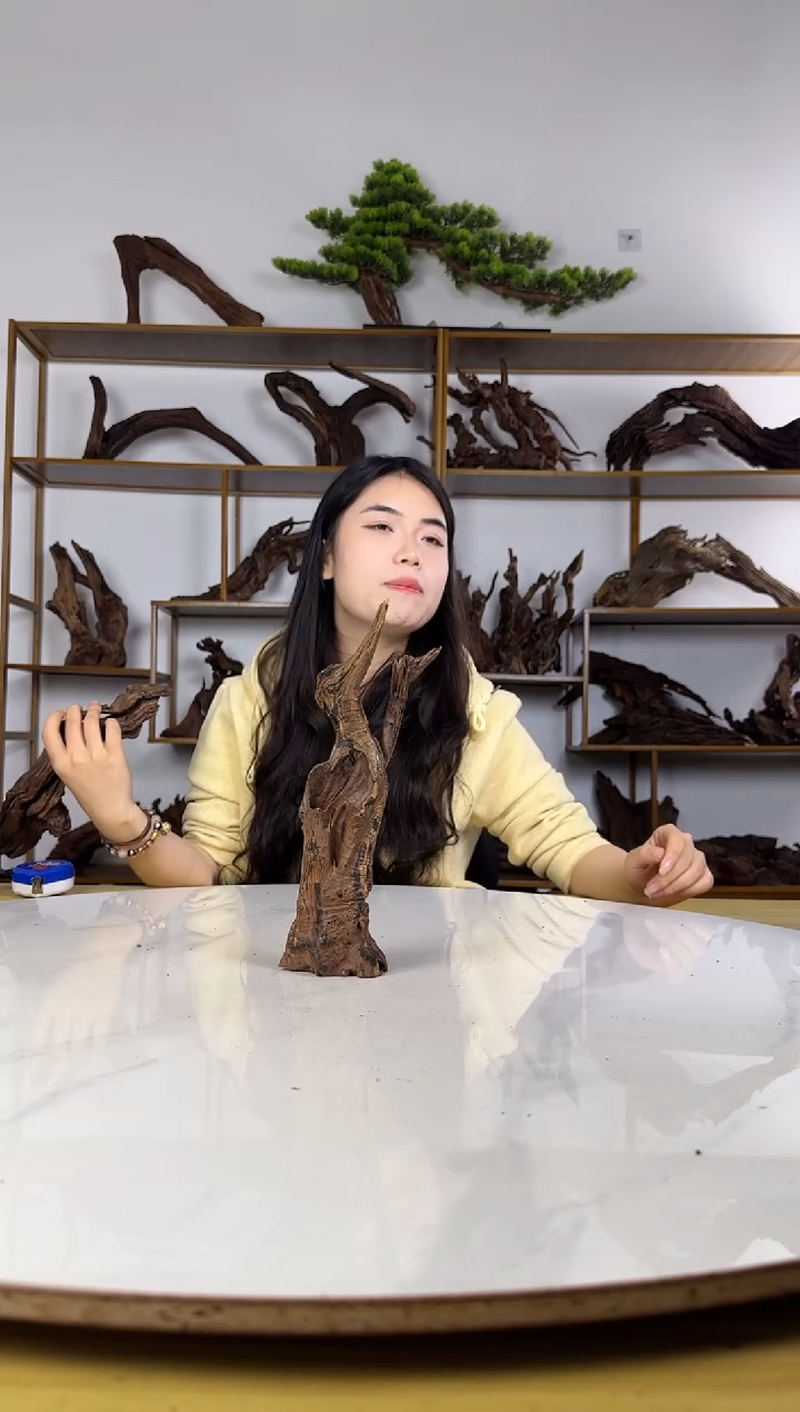 ?****0拍沉木定向链接编号37