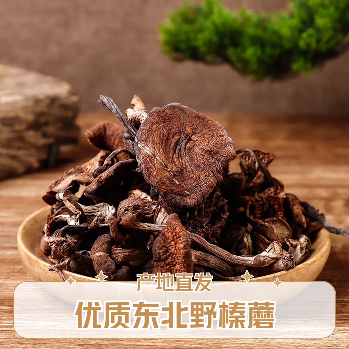 东北榛蘑菌菇深山采摘足干榛蘑纯野自然生长榛蘑250g/袋