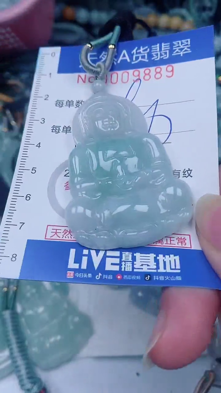 翡翠未镶嵌颈饰00009889