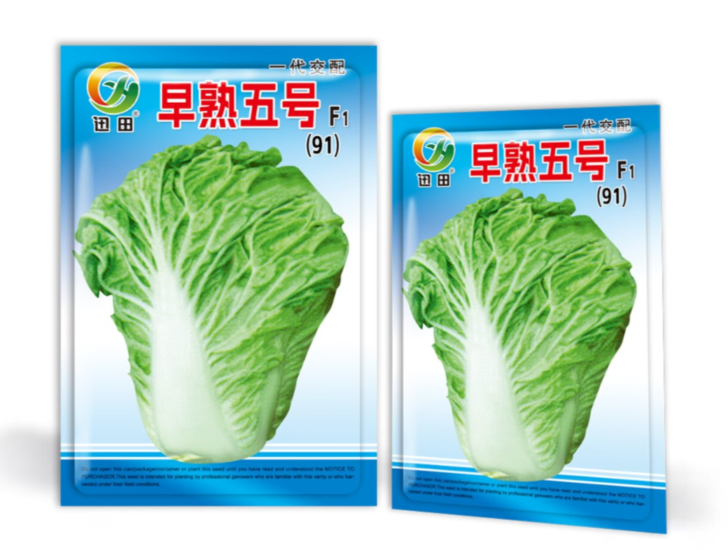 093*优选一代交配早熟五号F1（250g）