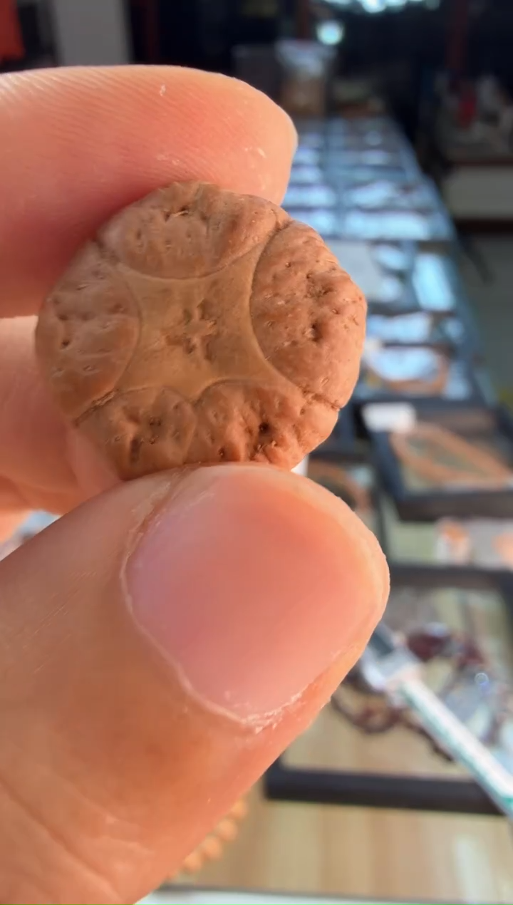 手串凤眼菩提4640一物一图 三通 21.2mm 超大