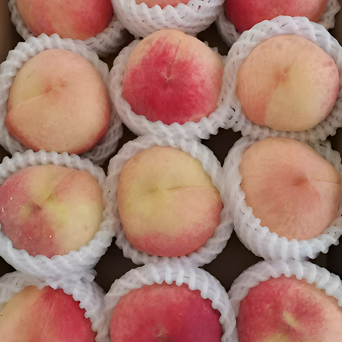 【绿色食品】【周末特价】平谷水蜜桃；新鲜采摘；软吃、榨汁、水果捞北京市