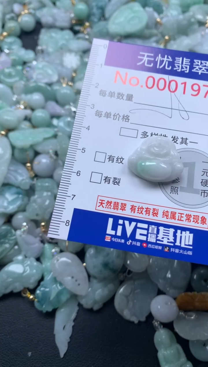 颈饰未镶嵌翡翠1976