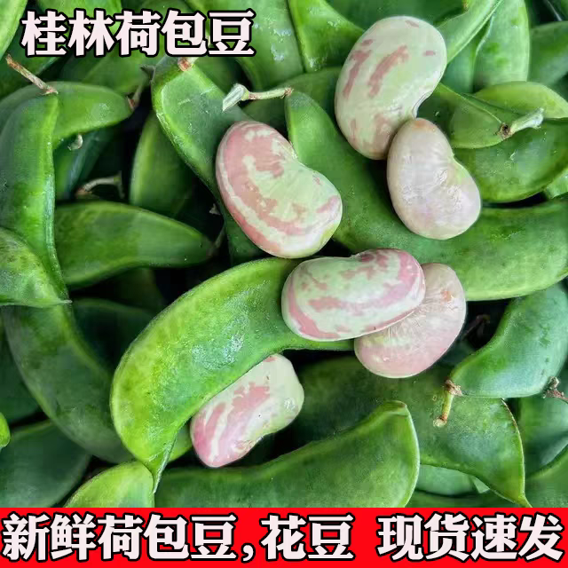 广西桂林新鲜荷包豆花豆肾豆
