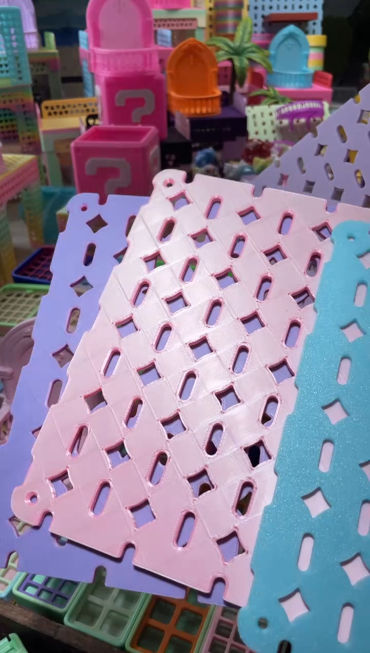 江***?陌派有钳寄居蟹2020